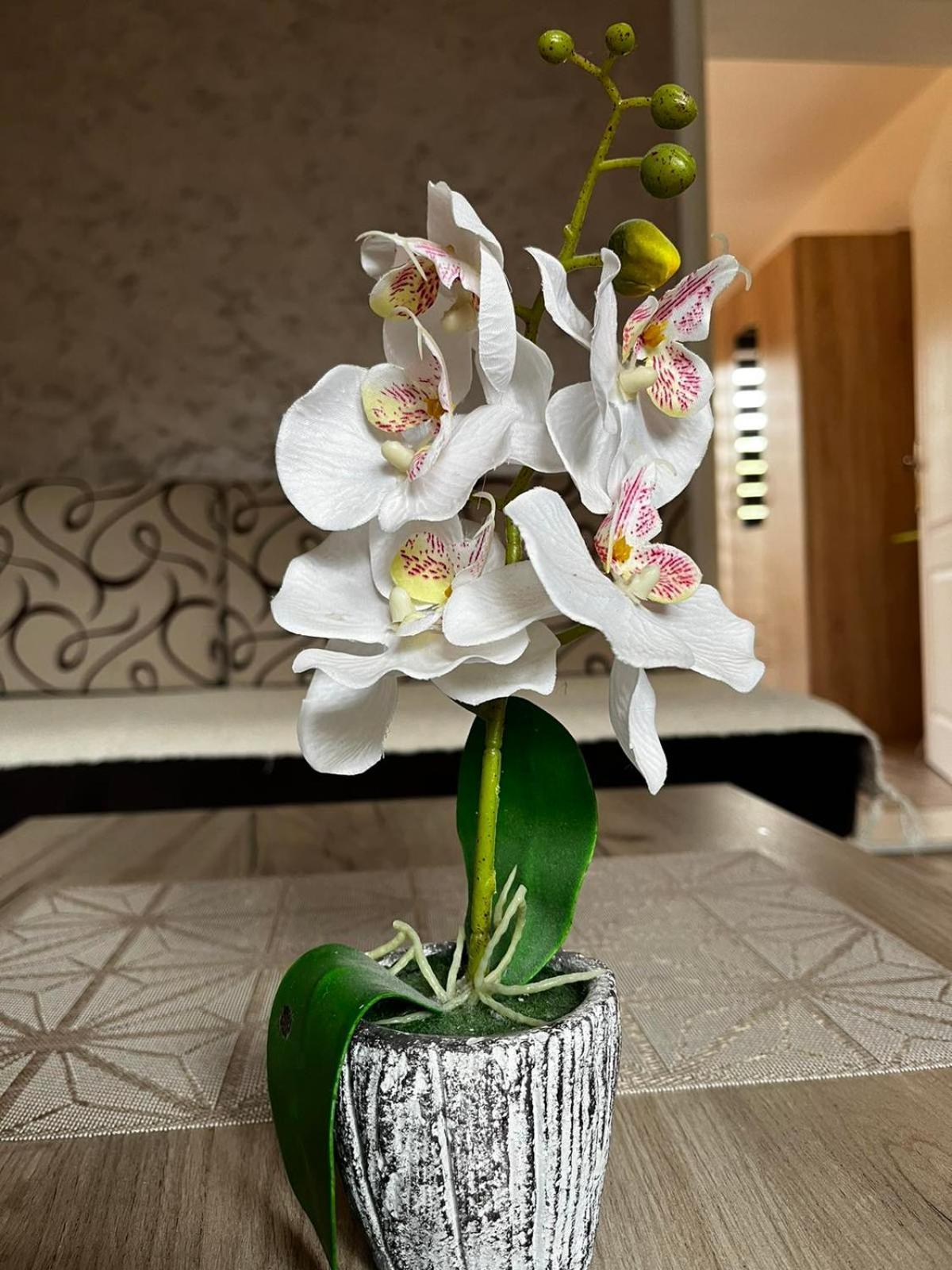Apartmani Nikolic Višegrad Habitación foto